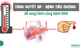 Giải ph&#225;p hỗ trợ giải độc gan hiệu quả cho người mắc bệnh mạn t&#237;nh