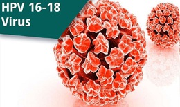 Kh&#244;ng chỉ g&#226;y bệnh ở phụ nữ, HPV đang l&#224;m gia tăng ung thư ở nam giới