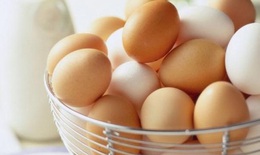 “Giải oan” cho trứng - người bệnh tim mạch, bệnh gout nên biết