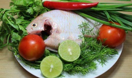 Tăng cường sức đề kháng chớ bỏ qua 7 loài cá này