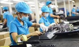 BHXH Việt Nam đồng h&#224;nh, th&#225;o gỡ kh&#243; khăn cho người lao động, doanh nghiệp vượt qua đại dịch