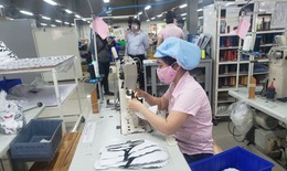Thực hiện "5 xanh" để sản xuất an toàn