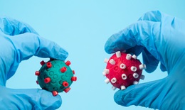 Biến thể R.1 đã lan tới 35 quốc gia, chuyên gia lo ngại về hiệu quả của vaccine