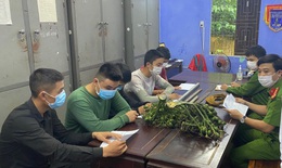 Bắt nhóm côn đồ ở Huế trộm cắp, hành hung chủ nhà nhập viện