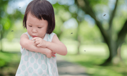 Trẻ mắc sốt xuất huyết: Những lưu ý trong điều trị, chăm sóc