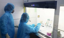 PGĐ Sở Y tế Hà Nam giải thích nguyên nhân ca mắc COVID-19 cộng đồng tăng