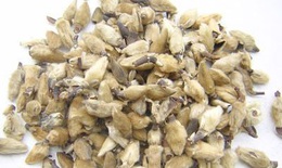 Bài thuốc trị viêm mũi xoang dị ứng