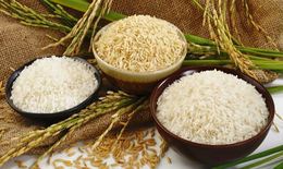 Chọn và bảo quản gạo thơm ngon, không phải ai cũng làm đúng cách