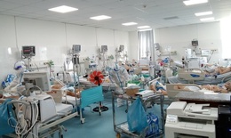 Cuộc gặp gỡ bất ngờ và tiếc nuối của thầy thuốc Thái Nguyên trên đất biển Vũng Tàu