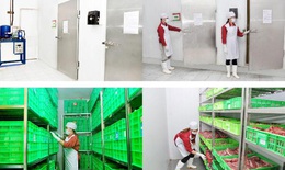Công ty thực phẩm Thanh Nga phục hồi hoạt động cung ứng thực phẩm trên địa bàn Hà Nội
