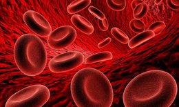 Bệnh thiếu máu: Nguyên nhân và cách điều trị 