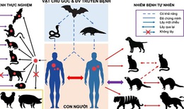 Phòng bệnh COVID-19 khi tiếp xúc với vật nuôi