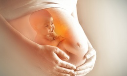 Ngừa nhiễm tr&#249;ng trong thai kỳ để giảm rủi ro cho mẹ v&#224; thai nhi