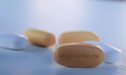 Nóng: Bộ Y tế thông tin về các cảnh báo, thận trọng khi dùng thuốc điều trị COVID-19 Molnupiravir

