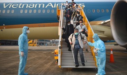 Nhu cầu người Việt Nam về nước đón Tết cao, hàng không tăng tần suất đường bay quốc tế