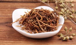 3 phương thuốc hỗ trợ trị bệnh tăng huyết áp trong y học cổ truyền
