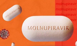 Đã phân bổ khoảng 450.000 liều thuốc Molnupiravir để điều trị F0 có kiểm soát
