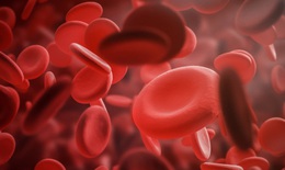 Điều trị bệnh máu khó đông Hemophilia A: Một kỷ nguyên mới đã mở ra