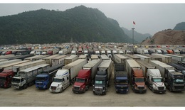 Sớm khắc phục tình trạng ùn tắc hàng hóa tại các cửa khẩu tỉnh Lạng Sơn và các tỉnh phía Bắc