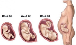 Giai đoạn 3 tháng giữa thai kỳ có những thay đổi gì cần lưu ý?