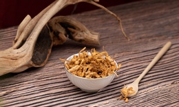 Công dụng của Nấm Trùng Thảo Bách Thông