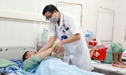 Quảng Ninh: Nguy cơ bùng phát dịch sốt xuất huyết