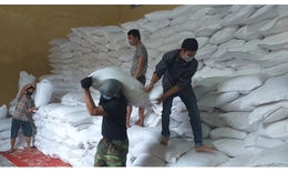 Xuất cấp hơn 478 tấn gạo hỗ trợ người d&#226;n tỉnh Gia Lai m&#249;a gi&#225;p hạt