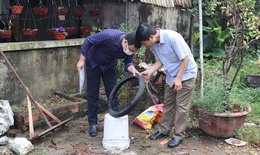 Hà Nội yêu cầu xử lý triệt để các ổ dịch sốt xuất huyết, không để dịch bùng phát