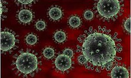 Nóng: Việt Nam xuất hiện ca cúm A(H5) trên người sau hơn 8 năm không ghi nhận