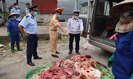 Liên tiếp bắt giữ nhiều vụ vận chuyển thực phẩm "bẩn", không rõ nguồn gốc