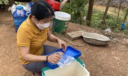 7 người ở Nghệ An nhập viện cấp cứu do uống thân cây lá ngón