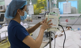 TP. Hồ Chí Minh dự báo số bệnh nhân sốt xuất huyết tiếp tục gia tăng