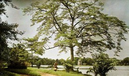 Trở về Hà Nội hơn 100 năm trước qua bộ ảnh màu quý hiếm