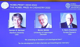 Nobel Hóa học mở ra chân trời mới cho y học và dược phẩm, điều trị ung thư trúng đích