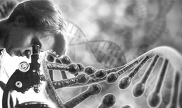 Ai là người đầu tiên tìm ra chuỗi ADN - vật liệu di truyền của tất cả sinh thể