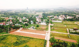 Ngăn chặn, xử lý nghiêm các trường hợp san ủi đồi núi, hồ ao để phân lô, bán nền
