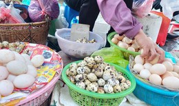 Giá hành lá tới 70.000 đồng/kg, giá trứng vịt liên tục lập đỉnh