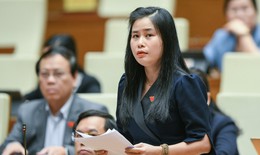 Nghệ sĩ nổi tiếng 'thổi phồng' công dụng thực phẩm chức năng: ĐBQH đề xuất xử lý thế nào?