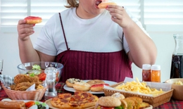Chế độ ăn ít protein có thể là nguyên nhân dẫn đến thừa cân, béo phì
