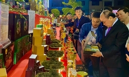 S&#226;m Lai Ch&#226;u, s&#226;m Ngọc Linh kh&#225;t vọng vươn xa
