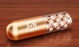 Đồng có thể là mục tiêu tiềm năng trong điều trị ung thư?