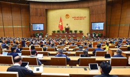 Không được chuyển nhượng, trao đổi, tặng cho, để thừa kế biển số xe ô tô trúng đấu giá