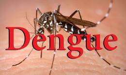 Những biến chứng nguy hiểm do sốt xuất huyết