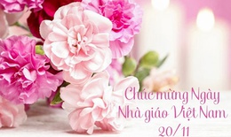 Những mẫu thiệp chúc mừng ngày Nhà giáo Việt Nam 20/11 online đẹp nhất