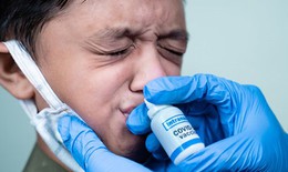 Australia ph&#225;t triển vaccine ngừa COVID-19 dạng nhỏ mũi