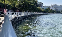 Lan can Hồ Tây có 'áo mới'