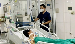 15 ca tử vong do sốt xuất huyết ở BV Bệnh Nhiệt đới TW chủ yếu nhập viện muộn