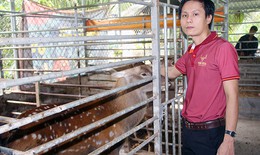 Bị gia đình phản đối vẫn quyết nuôi con vật lạ, chàng trai lãi bộn tiền