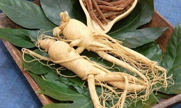 4 bài thuốc điều trị chứng 'tâm thận bất giao'