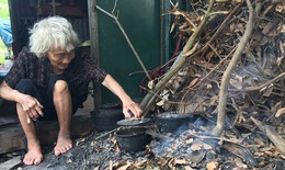 Xót xa cuộc sống của cụ bà trong túp lều tăm tối ở tuổi bát thập